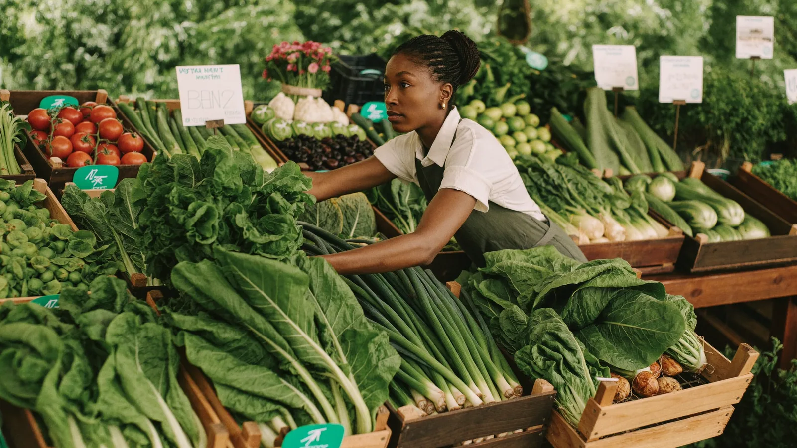 How to Budget on a Low Income — VESTELON FLOW