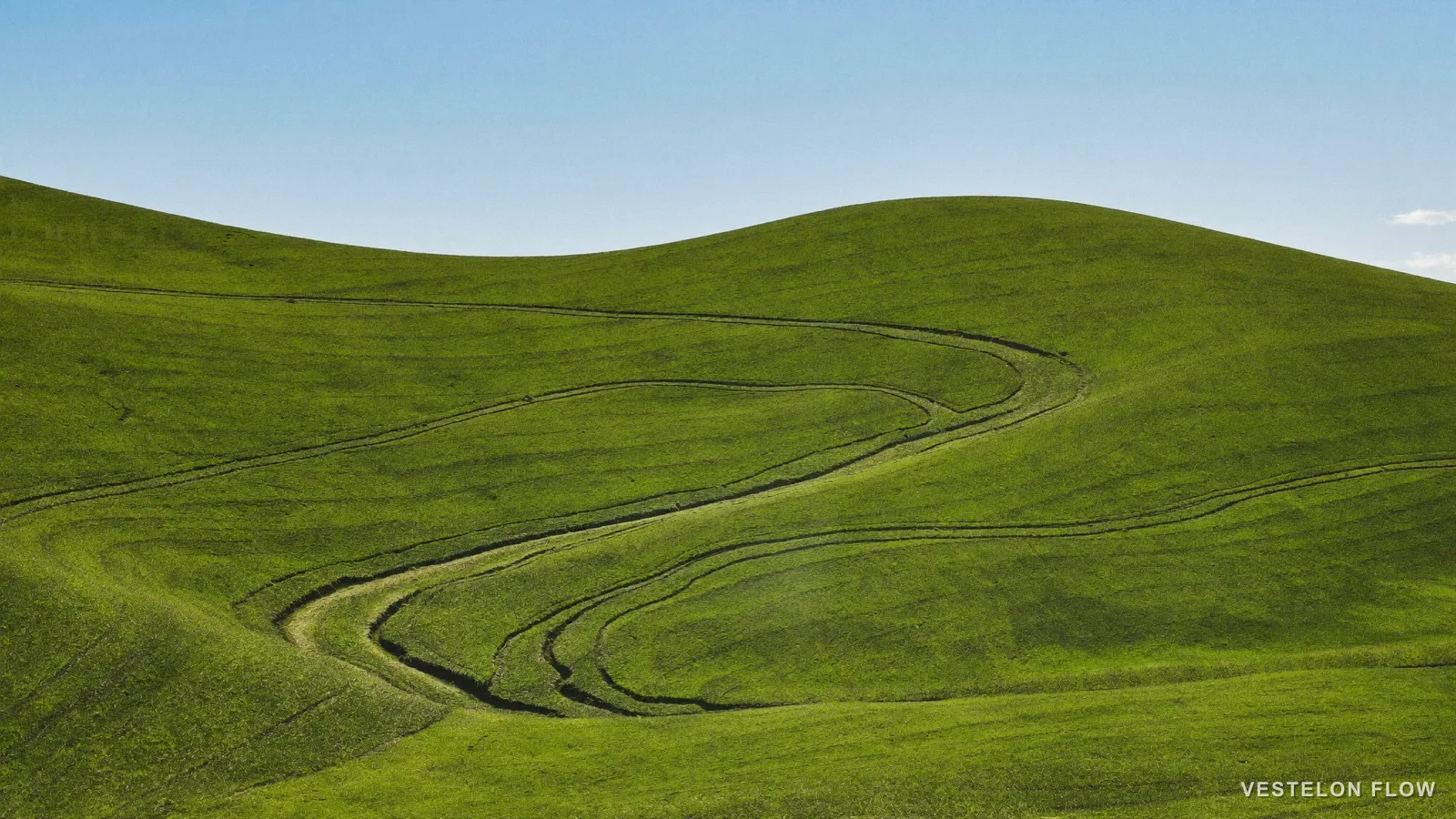 Is VESTELON FLOW Worth It? An Honest Look — VESTELON FLOW