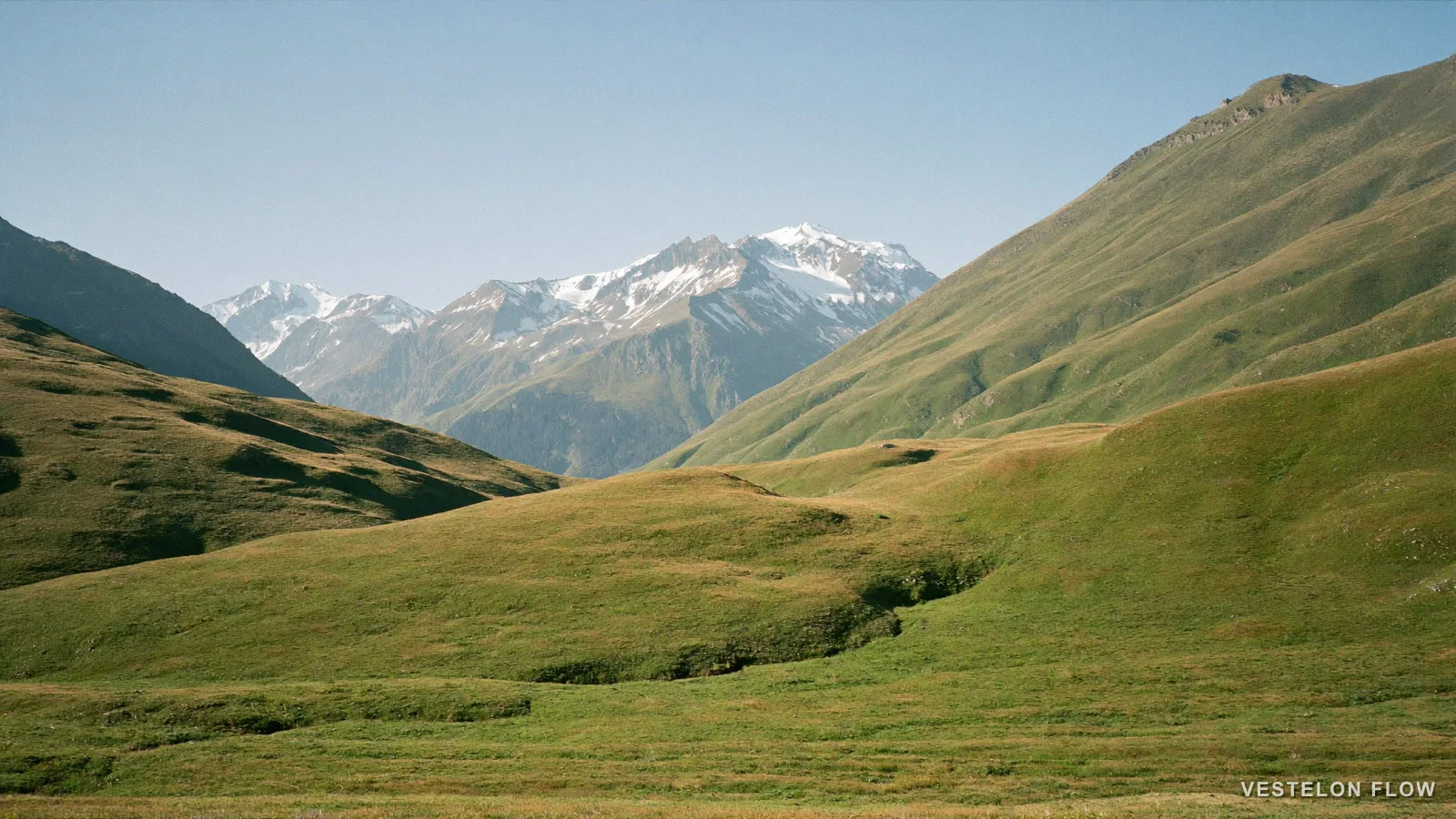 Money Management in Switzerland: A Practical Guide — VESTELON FLOW